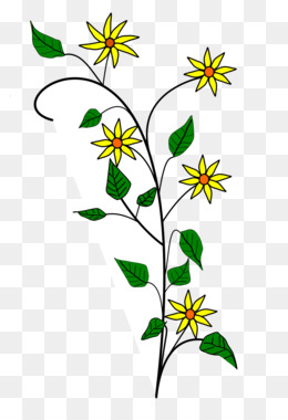 260x380 Free Download Flower Drawings A Simple Flower