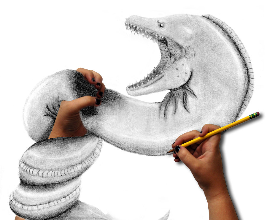 900x741 Killer Eel By Xxtragiccxx