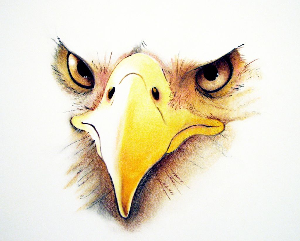 1024x821 Bronafbeelding Weergeven Rock Painting Ideas