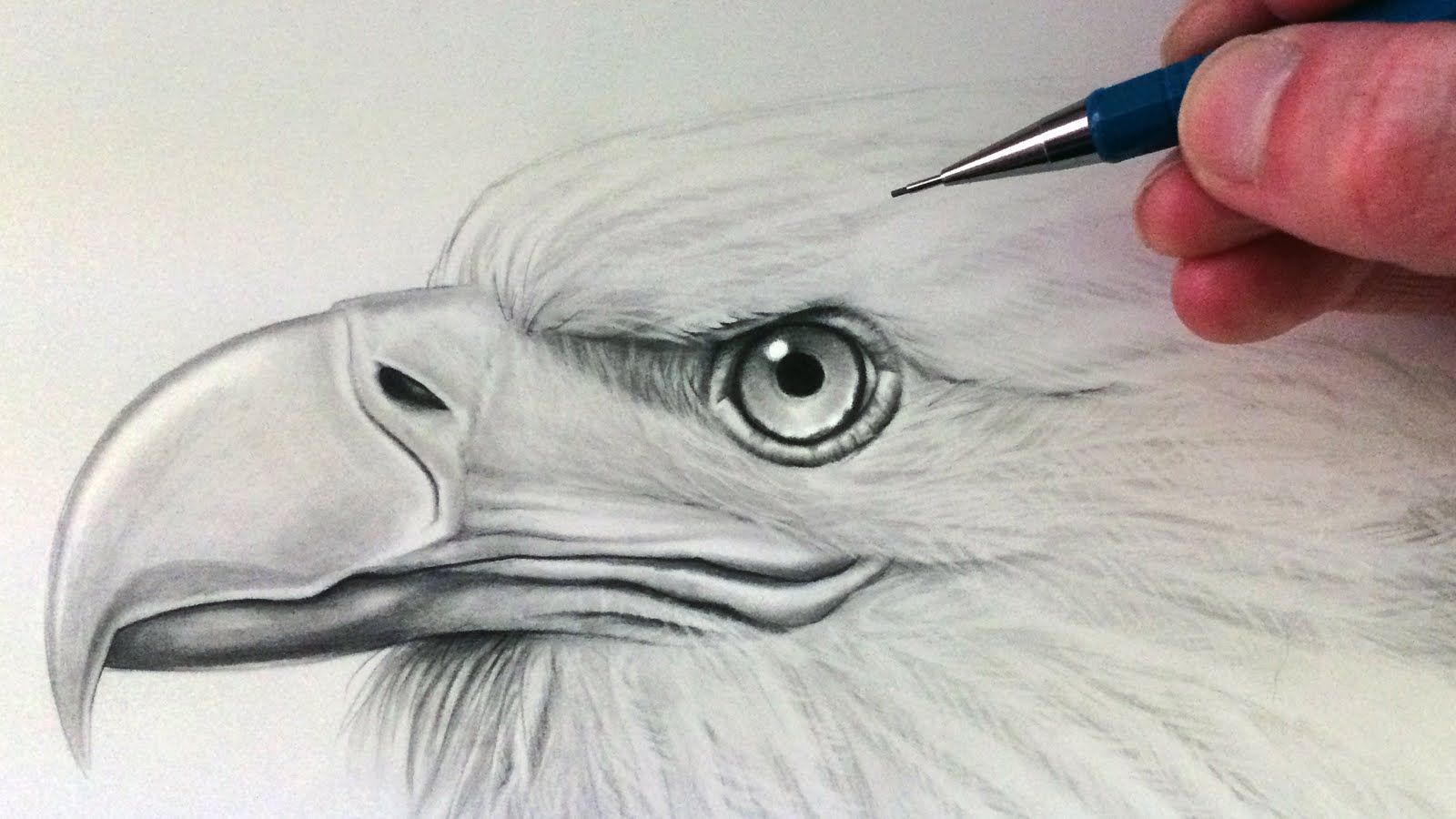 1600x900 How To Draw An Eagle Head
