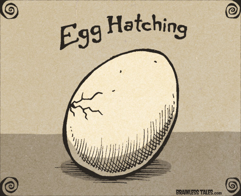 497x406 Egg Hatching