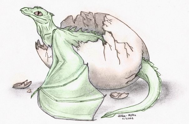 605x400 Hatching Dragon By Akelataka