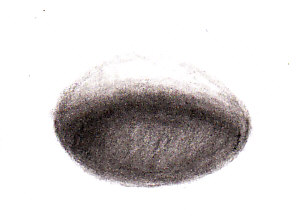 307x223 How To Draw An Egg Feltmagnet