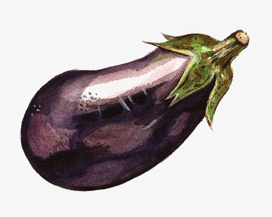 550x440 Drawing Eggplant, Illustration, Cartoon, Hand Painted Png Image