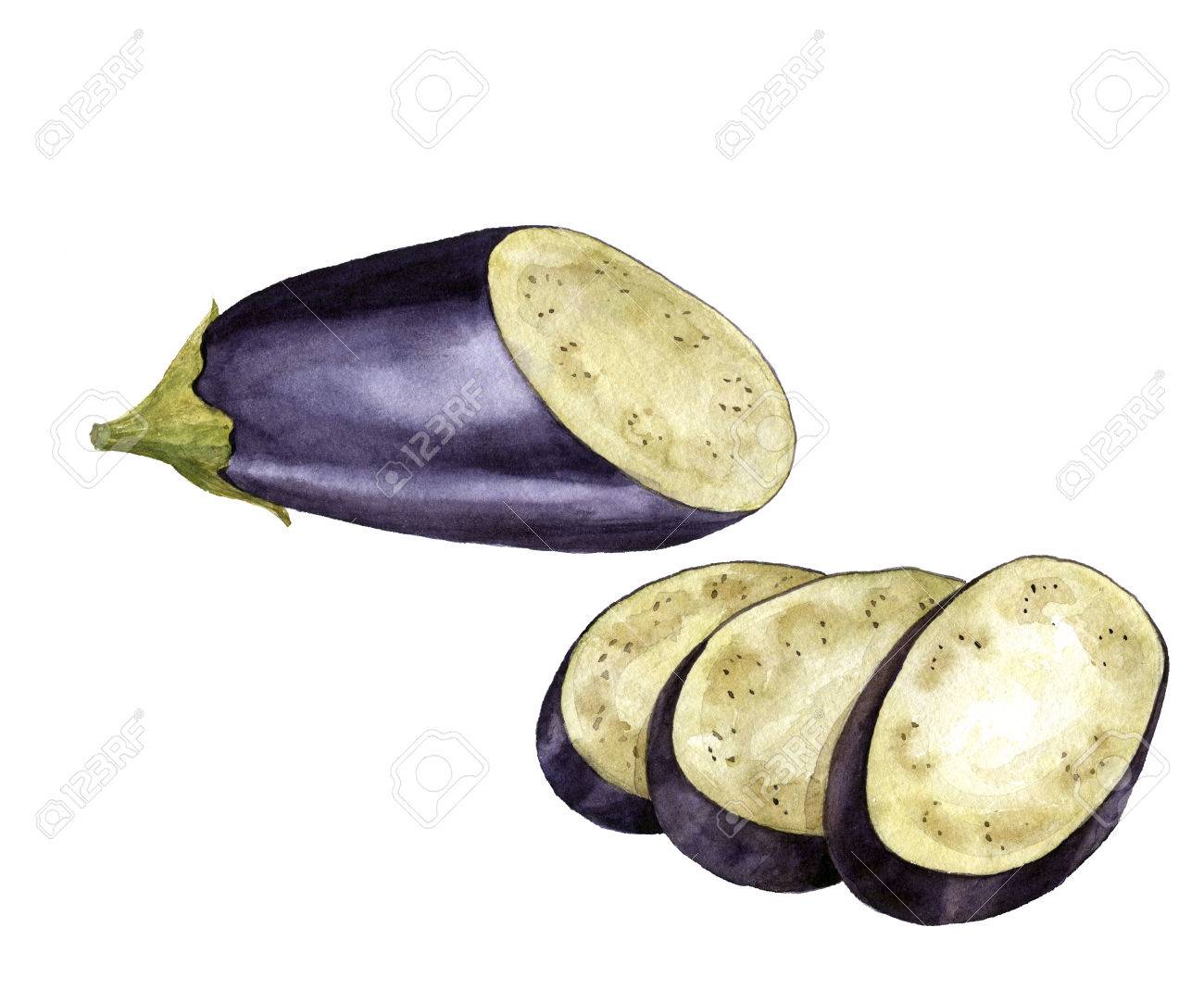 1300x1083 Watercolor Drawing Half And Slices Of Eggplant,isolated At White
