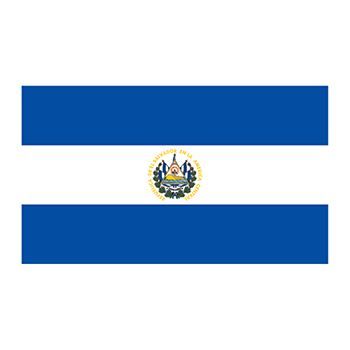 350x350 Flag Of El Salvador Temporary Tattoo Offers Fun Learning