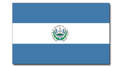 400x220 Salvador Flag