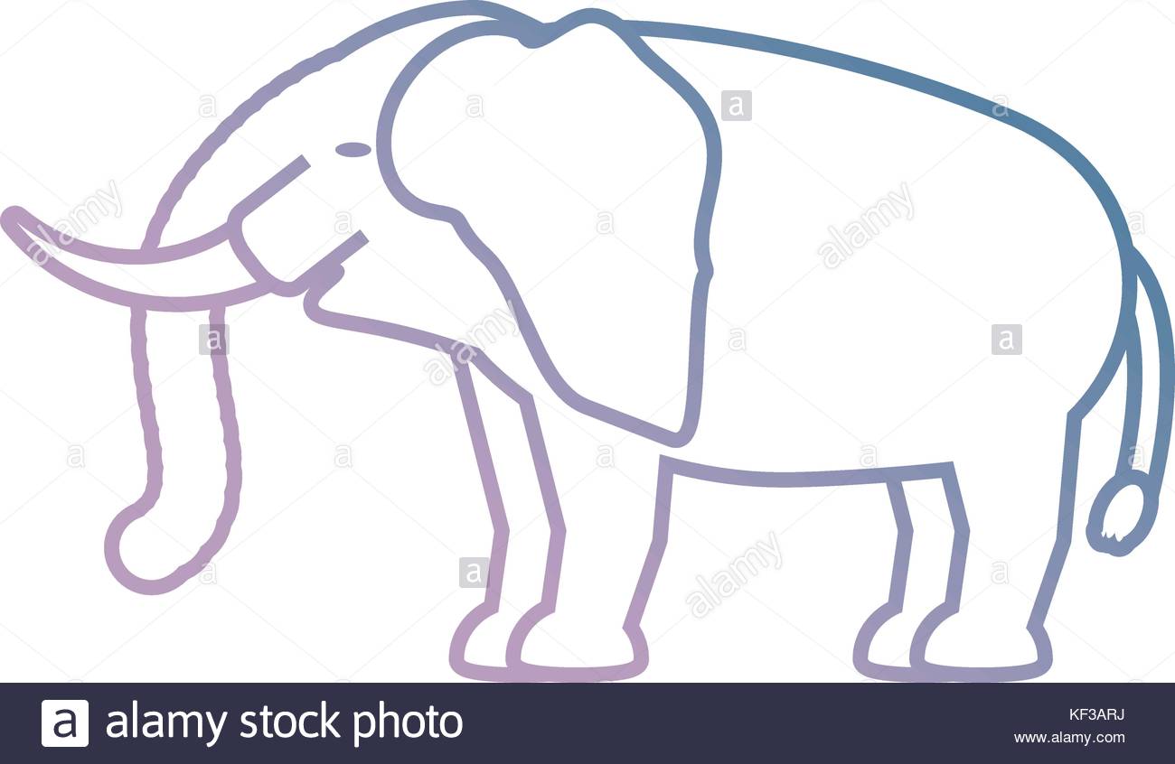 1300x846 Indian Elephant Stock Vector Images