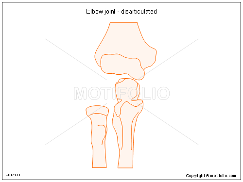 500x375 Elbow Joint