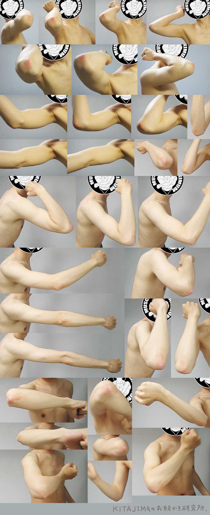 800x1960 How To Draw The Elbow