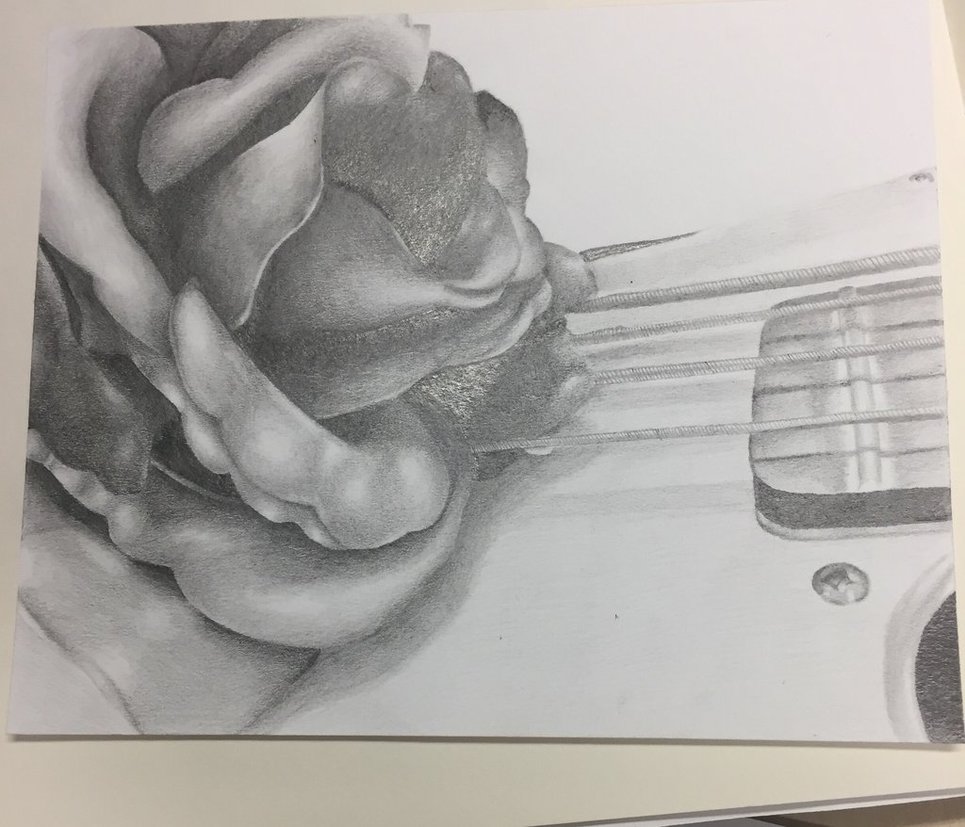 965x827 Rose Electric Guitar Pencil Shade Drawing By Liviiv