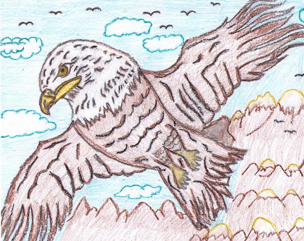 600x475 Drawing By Brandon