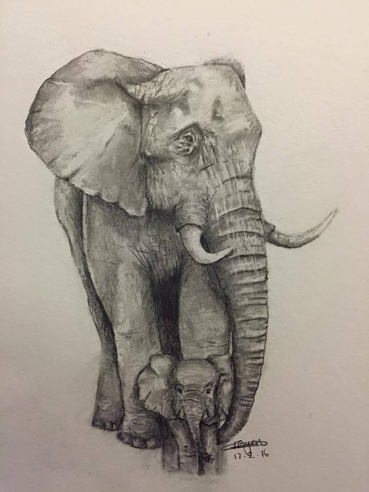 720x960 Elephant Baby Fern Art