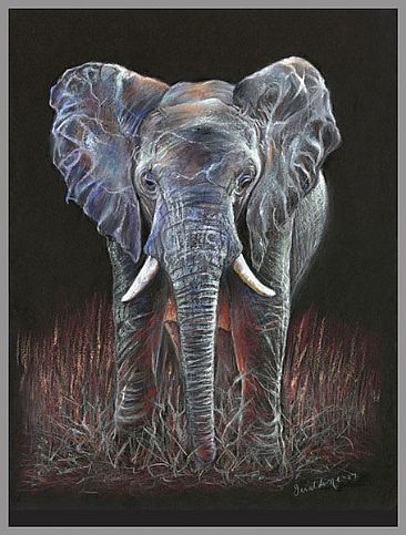 366x483 African Elephant