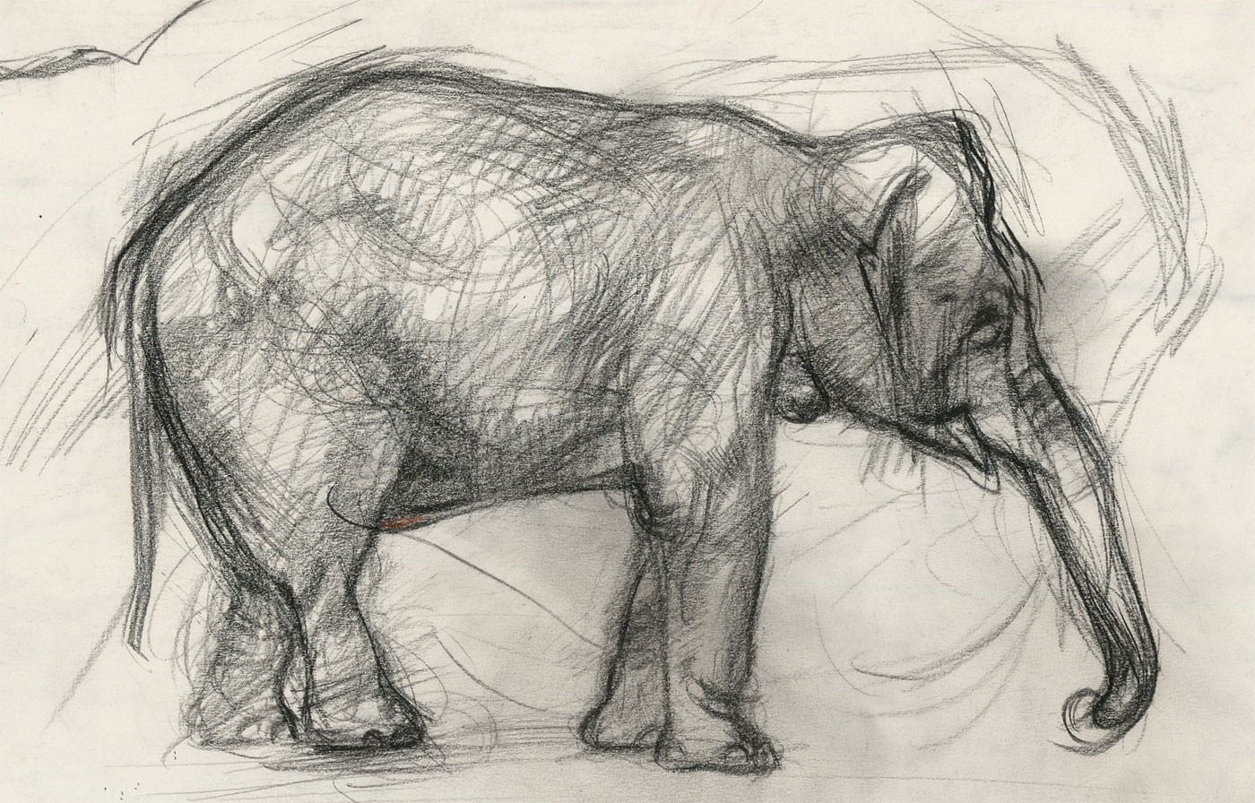 Elephant Charcoal Drawing at GetDrawings | Free download