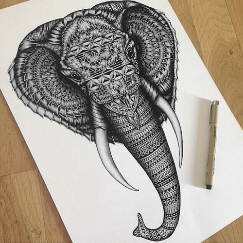 500x500 Pretty Drawing Animals Design Elephant Animal Drawings Tattoo