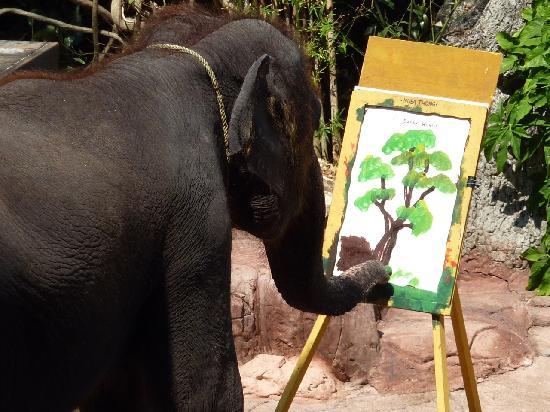 550x412 Elephant Drawing