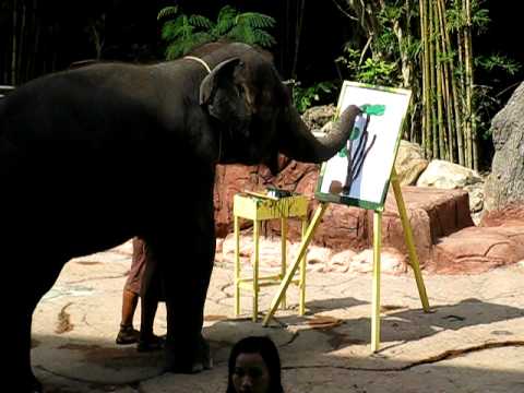 480x360 Elephant Is Drawing A Tree, Thailand Zoo