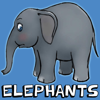 400x400 How To Draw Cartoon Elephants With Easy Steps Drawing Lesson