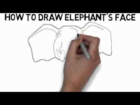 480x360 How To Draw Elephant's Face Quickly And Easily