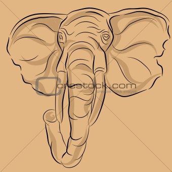 340x340 Image 4101818 Elephant Head Drawing From Crestock Stock Photos