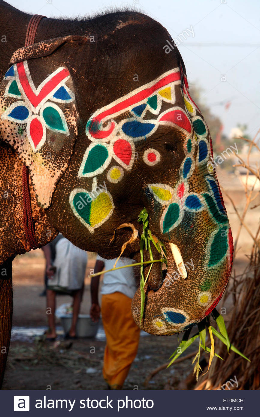 866x1390 Drawing Elephant Face Animal Stock Vector Art Amp Illustration