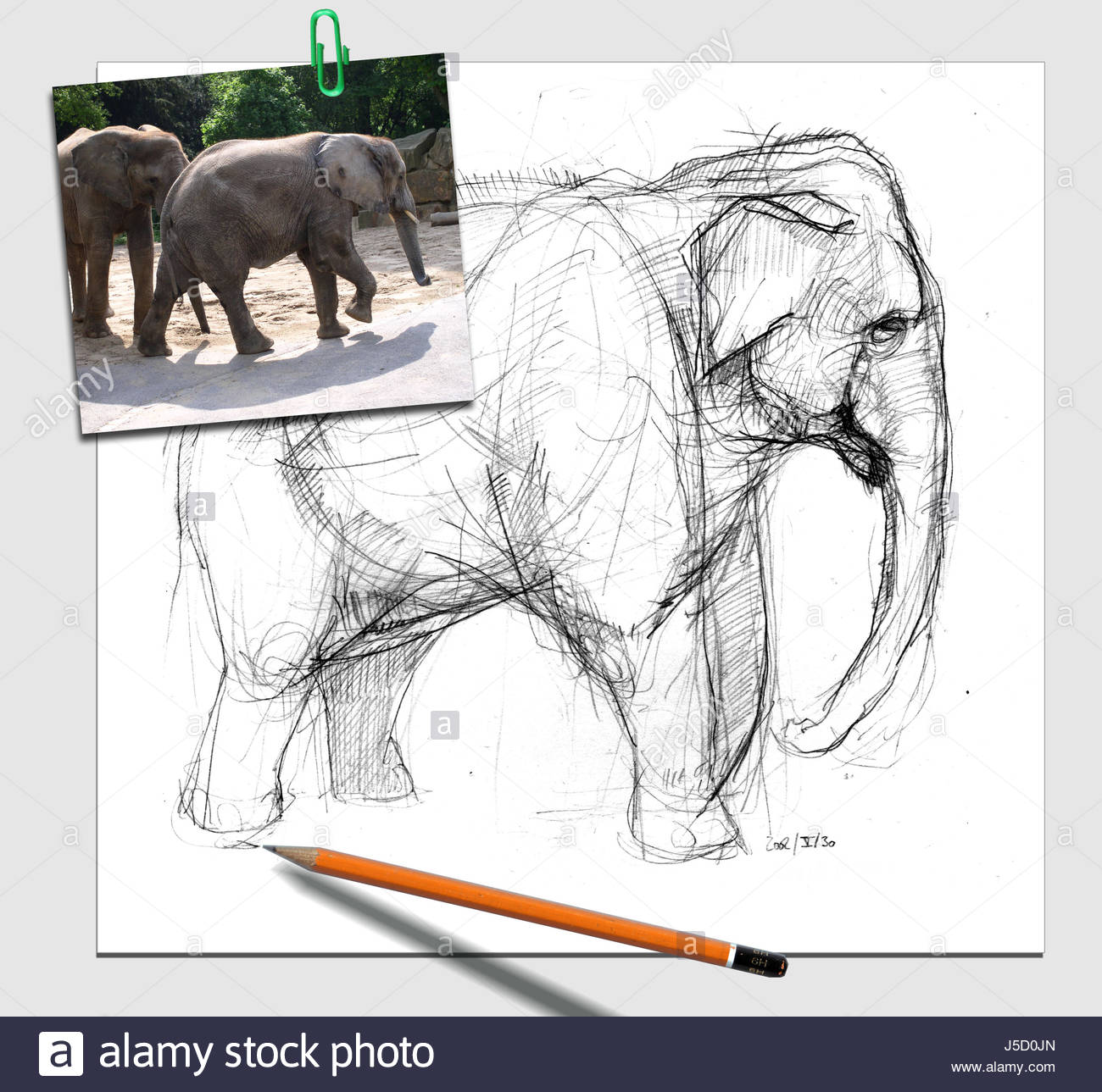 1300x1289 Animal Elephant Photo Composition Pencil Pen Style Drawing Photo