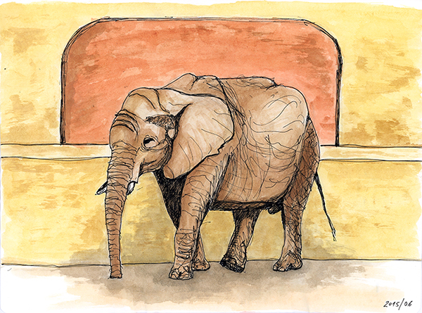 600x445 Sketchbook Pages Visit To The Zoo Elephant Drawing In Pen Amp Ink