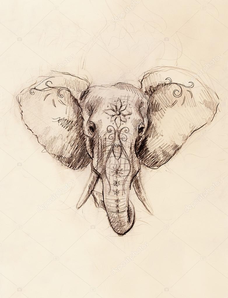 782x1024 Elephant With Floral Ornament, Pencil Drawing On Paper. Stock