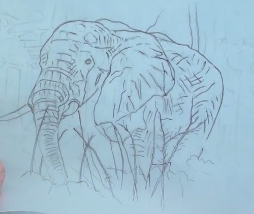 500x422 How To Draw An Elephant In Pen And Ink Online Art Lessons