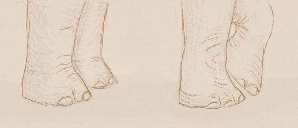 1024x440 Elefants Stopi.jpg