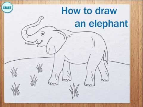 480x360 How To Draw Elephant