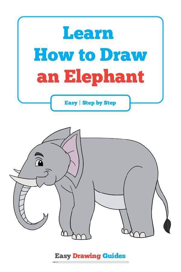 600x900 How To Draw An Elephant Easy And Simple Guide Elephant Drawings