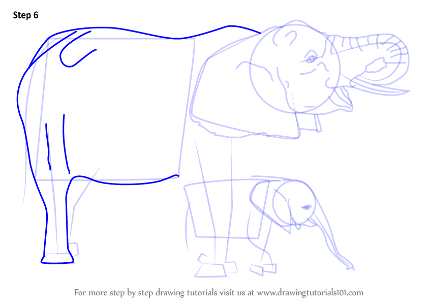846x600 Learn How To Draw An Elephant Mother And Baby (Other Animals) Step