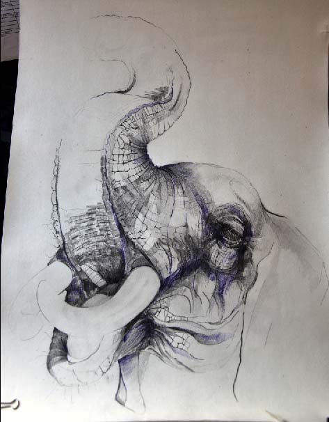 473x606 Elephants, Pencil, Water Colour Pencil And Ink My Art Drawings