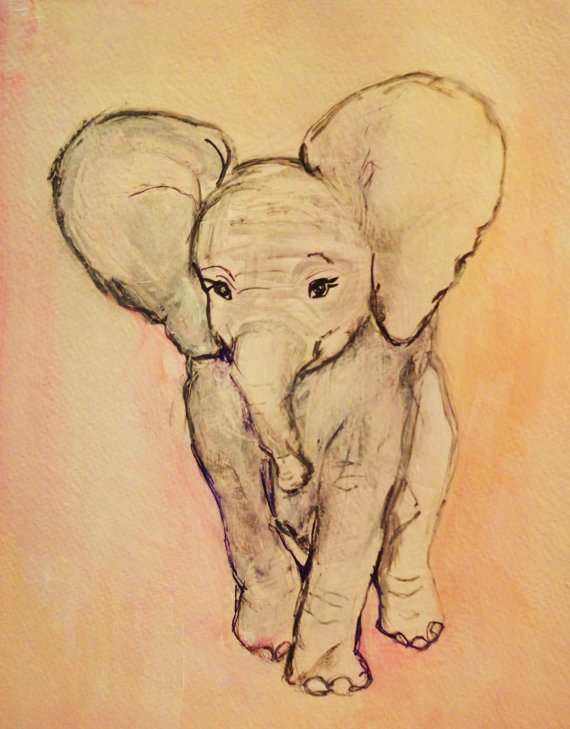 570x729 Elephant Bailee Boo Elefanti, Disegni E Matita