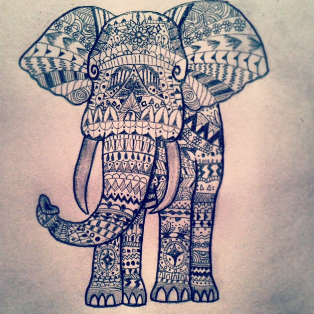 640x640 Indian Elephant By Eighteenninetyfour