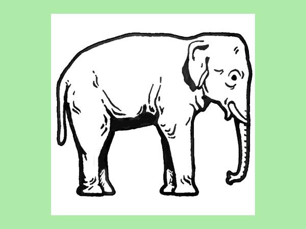 600x450 How To Draw Elephants With Step By Step Drawing Tutorial