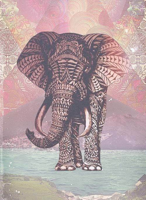 500x685 American Indian Artworks Animals Elephant Tumblr