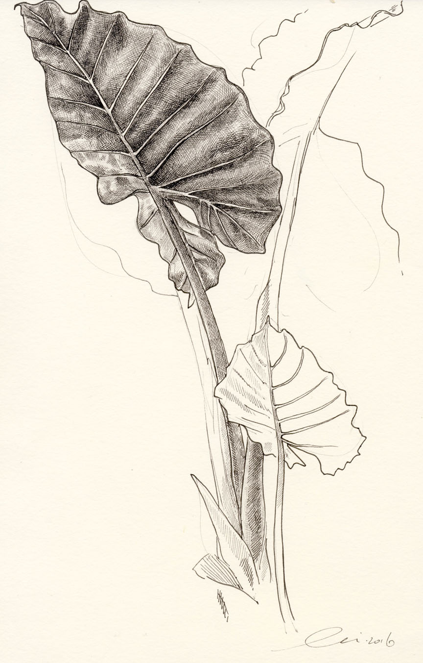 864x1353 One Hour Drawings Lily Mae Martin