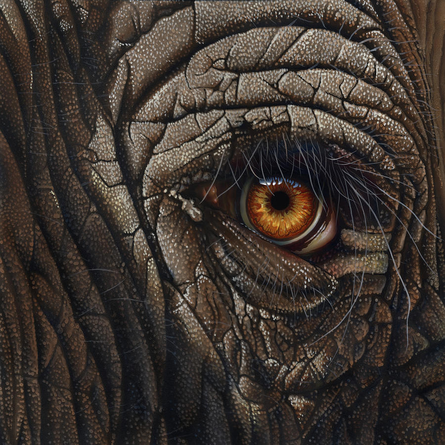 900x900 Elephant Eye Painting