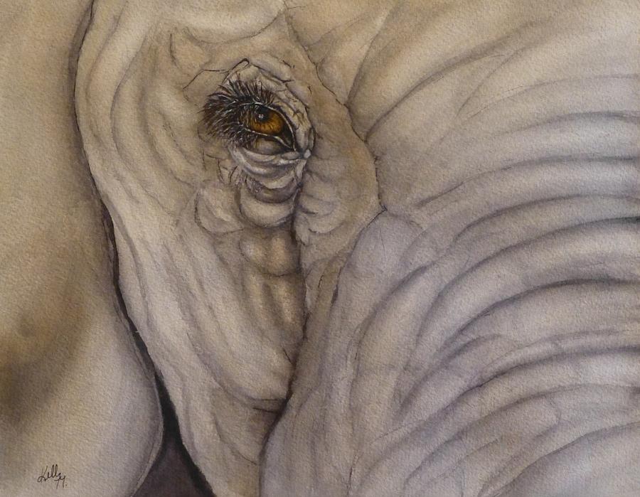 900x699 Elephant Eye Painting By Kelly Mills