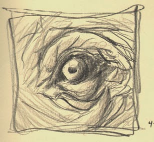 307x283 Tattooed Sky Elephant Eye Sketch