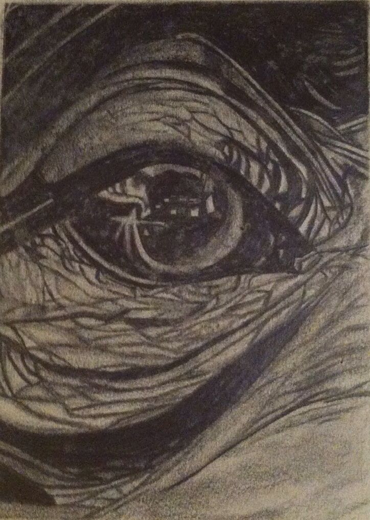 724x1018 Elephant Eye Sketch My A Level Art Sketches