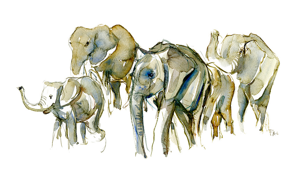 1024x651 Watercolor Group Elephants Front View Animal By Frits