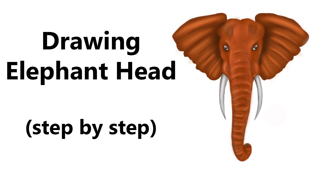 1280x720 How To Draw An Elephant Head