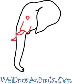 300x350 How To Draw An African Elephant