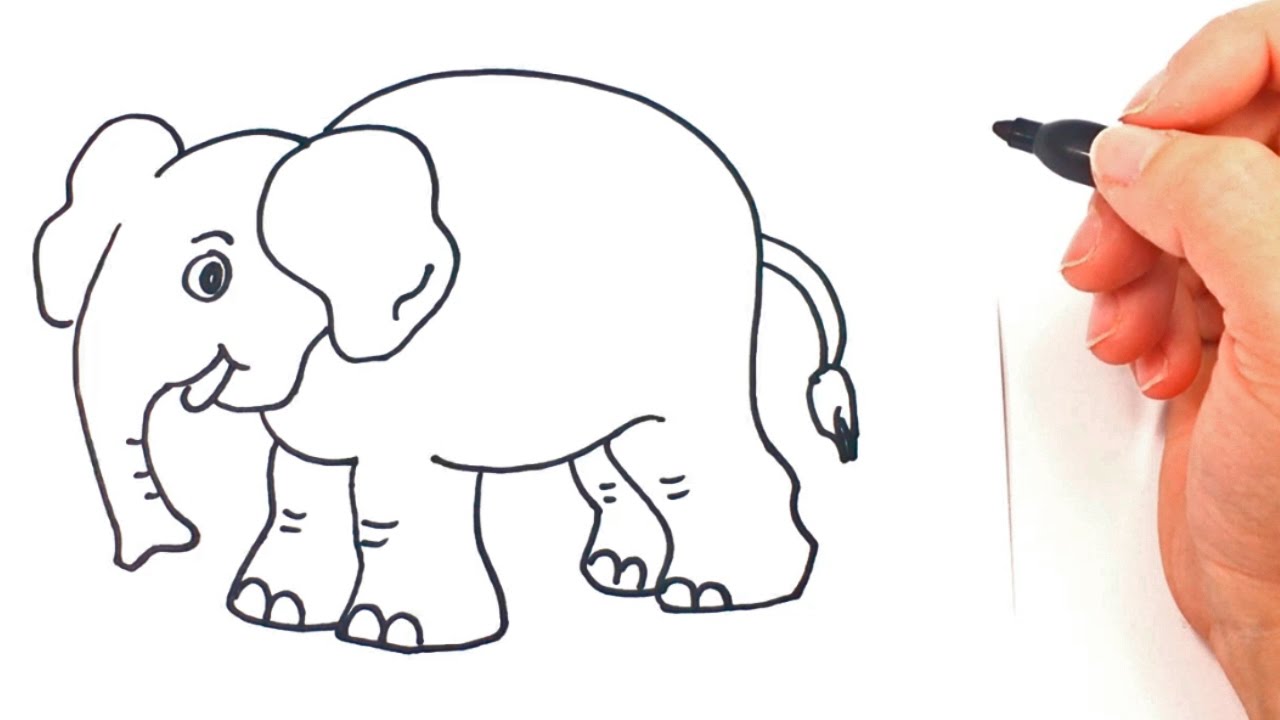 1280x720 How To Draw A Elephant Elephant Drawing Lesson