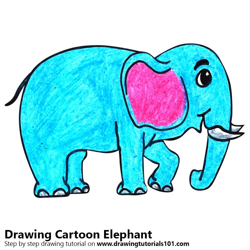 800x800 Learn How To Draw A Cartoon Elephant (Cartoon Animals) Step By