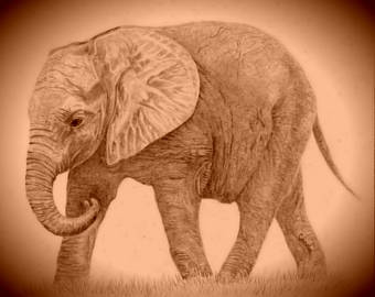 340x270 Elephant Drawings Etsy
